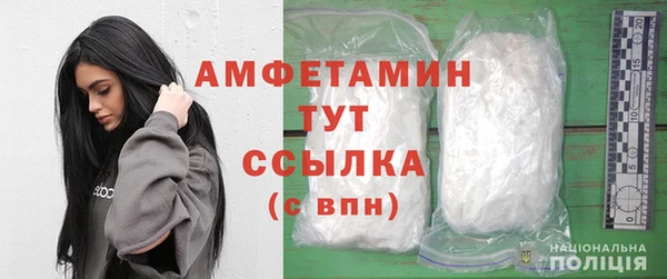 твердый Новозыбков