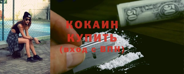 твердый Новозыбков
