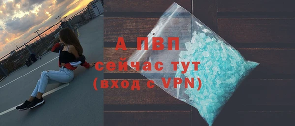 крисы Новодвинск