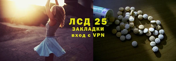 твердый Новозыбков