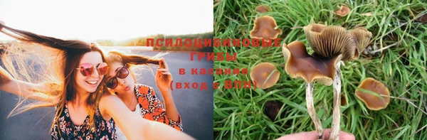 MDMA Нефтегорск