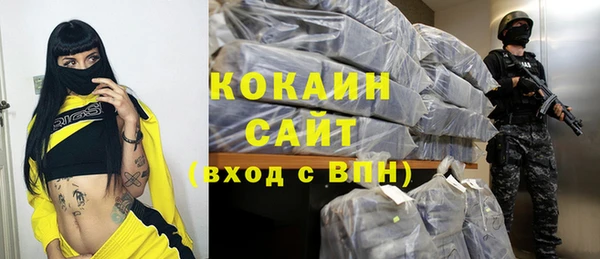 твердый Новозыбков