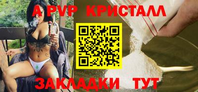 стаф Берёзовский