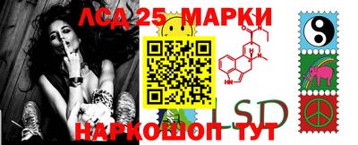 a pvp Кимры