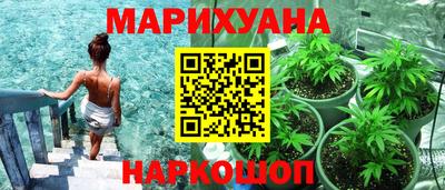 стаф Берёзовский