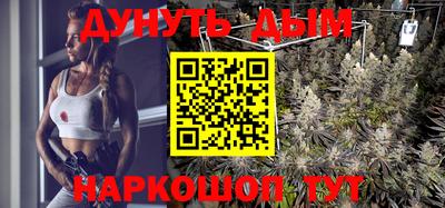 стаф Берёзовский