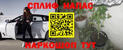 трава Кингисепп