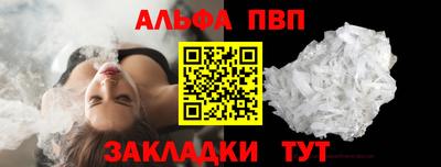 стаф Берёзовский