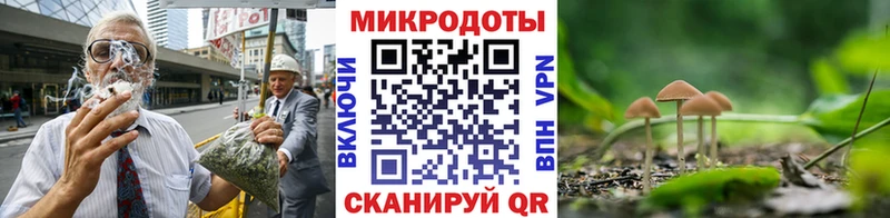 kraken как зайти  даркнет сайт  Старая Купавна  Галлюциногенные грибы Psilocybine cubensis 