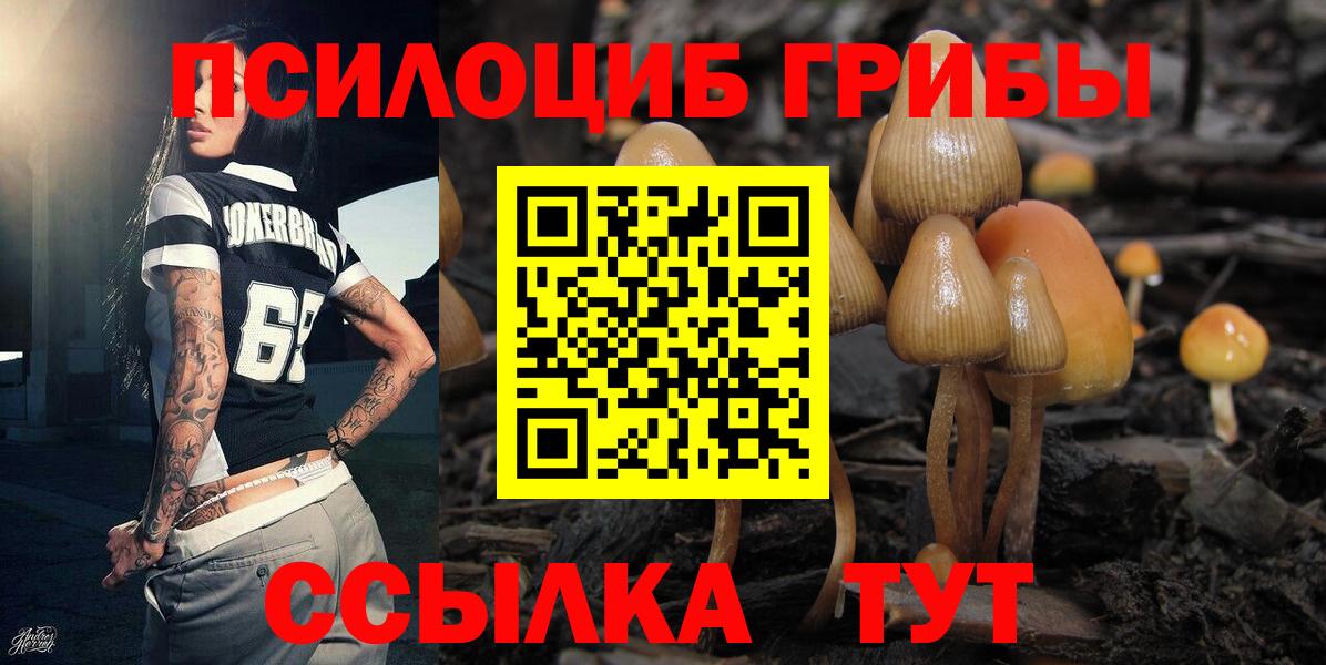 где можно купить наркотик  Старая Купавна  Псилоцибиновые грибы мухоморы 