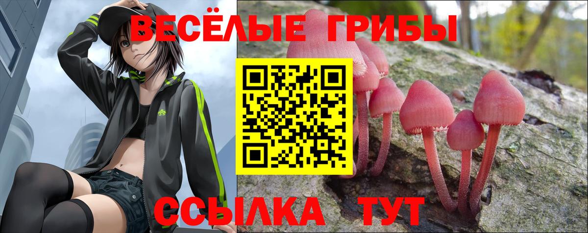 Псилоцибиновые грибы мухоморы  Вход с VPN  Старая Купавна 
