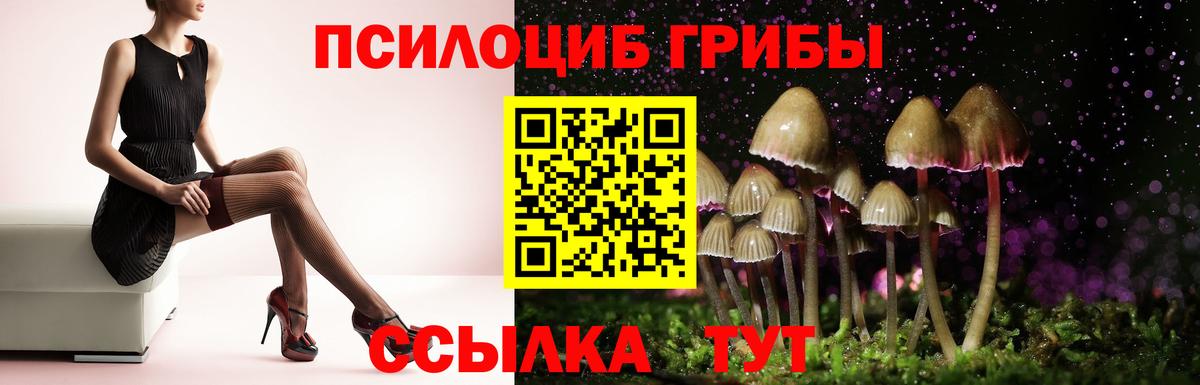 Галлюциногенные грибы прущие грибы Старая Купавна